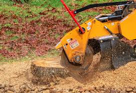 Best Tree and Shrub Care  in Beaverton, OR