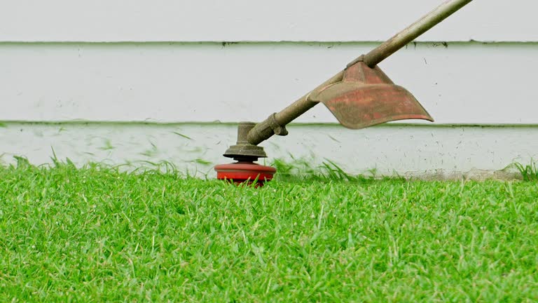 Best Lawn Pest Prevention  in Beaverton, OR